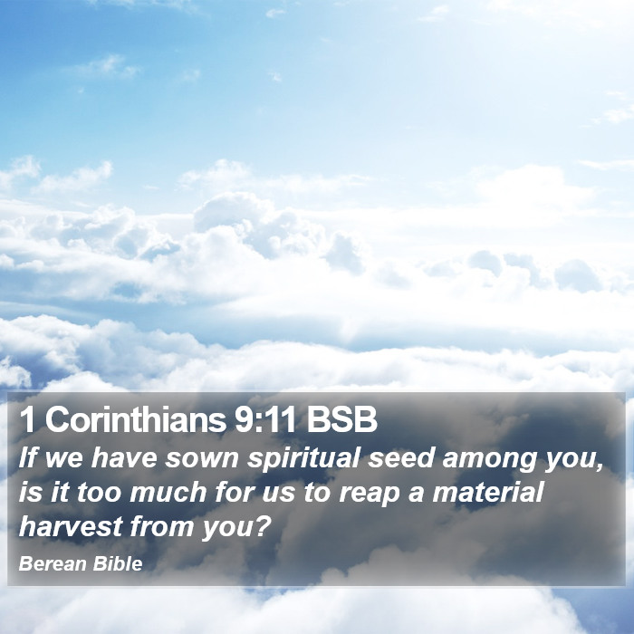 1 Corinthians 9:11 BSB Bible Study