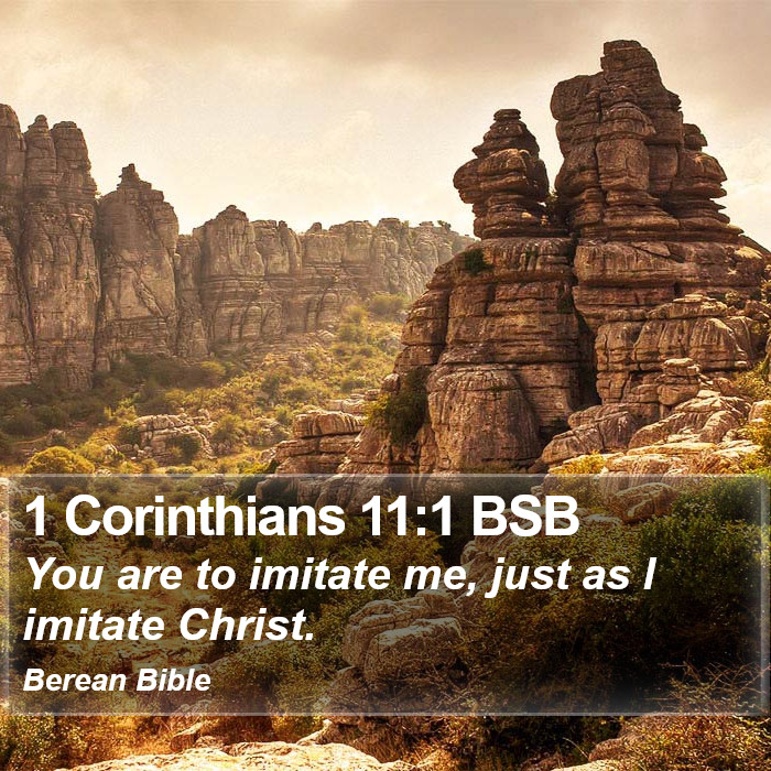 1 Corinthians 11:1 BSB Bible Study