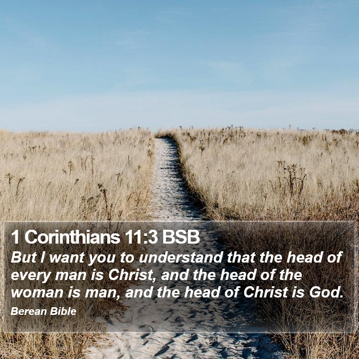 1 Corinthians 11:3 BSB Bible Study