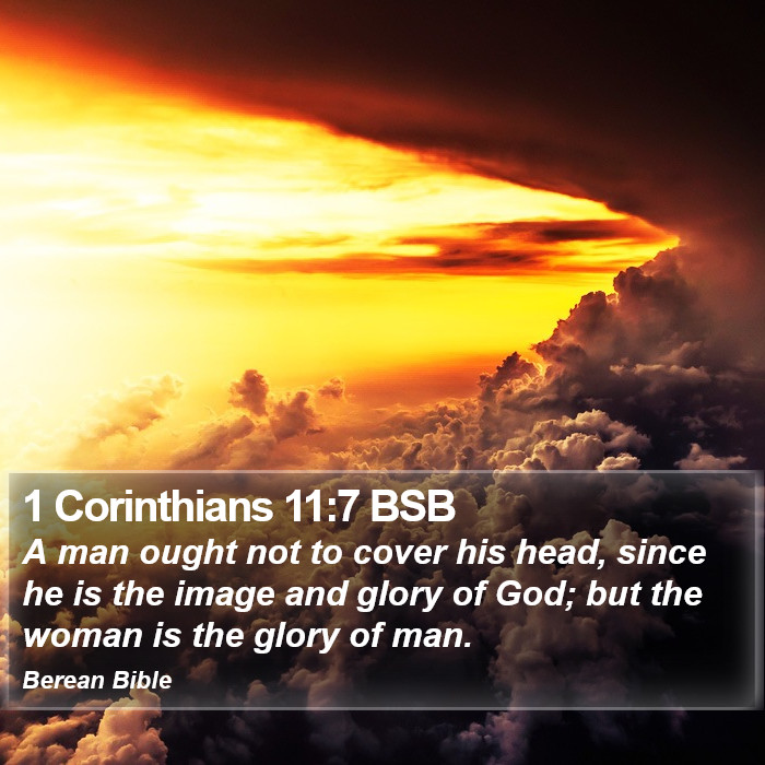 1 Corinthians 11:7 BSB Bible Study