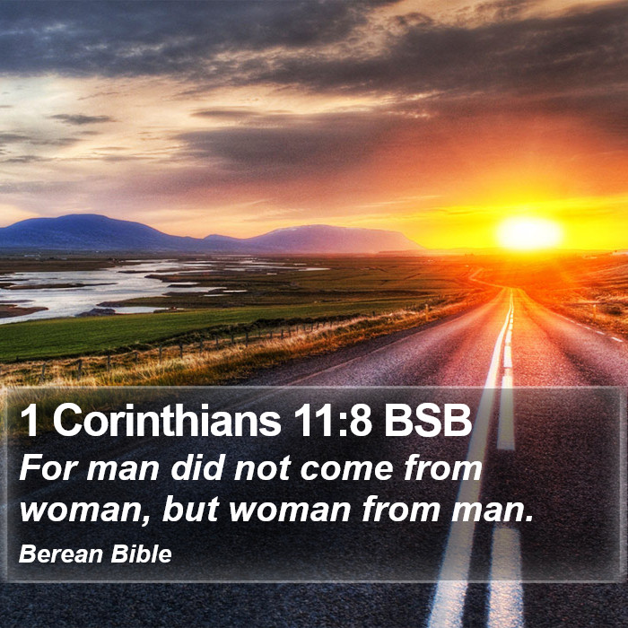 1 Corinthians 11:8 BSB Bible Study