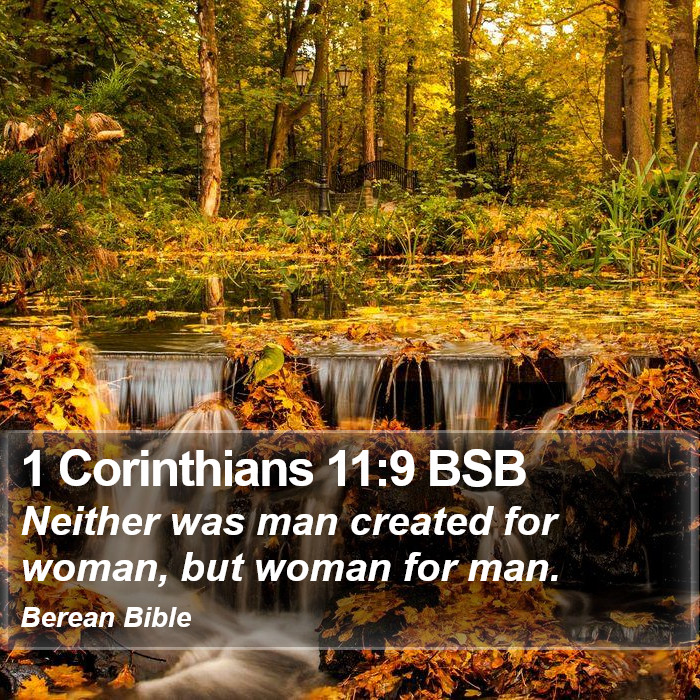 1 Corinthians 11:9 BSB Bible Study