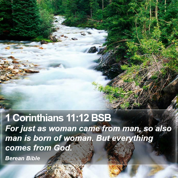 1 Corinthians 11:12 BSB Bible Study