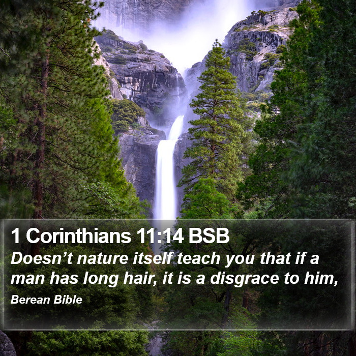 1 Corinthians 11:14 BSB Bible Study