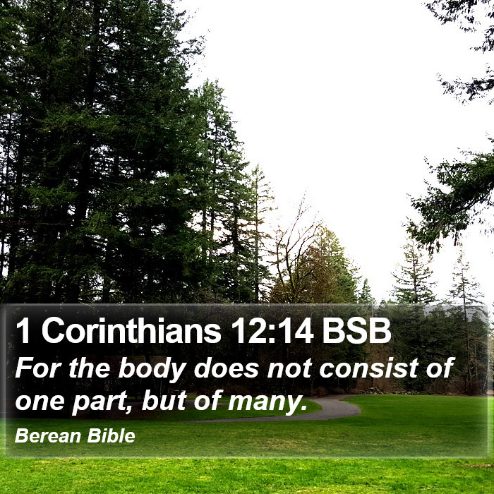 1 Corinthians 12:14 BSB Bible Study