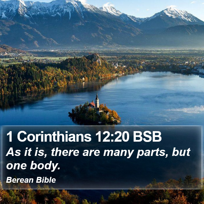 1 Corinthians 12:20 BSB Bible Study