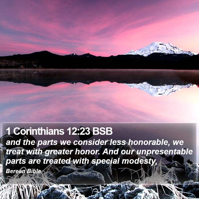 1 Corinthians 12:23 BSB Bible Study