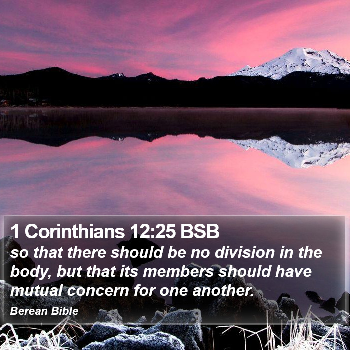 1 Corinthians 12:25 BSB Bible Study