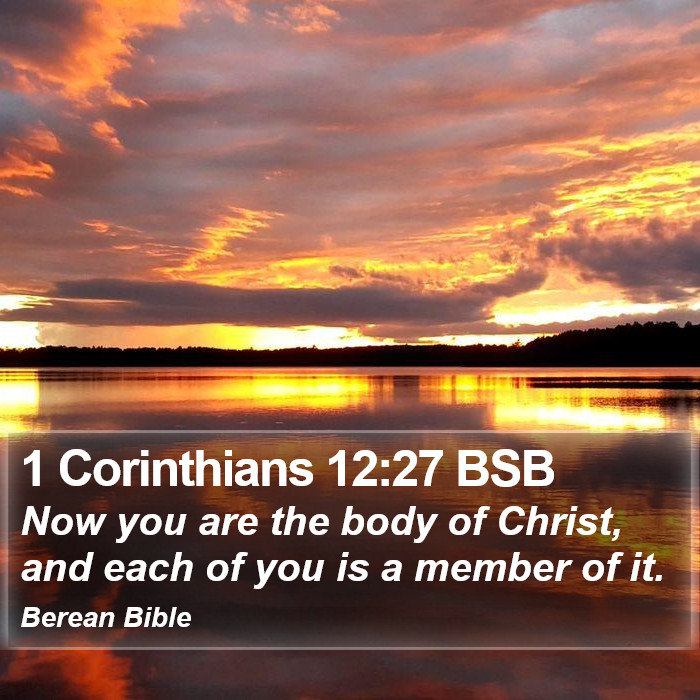 1 Corinthians 12:27 BSB Bible Study