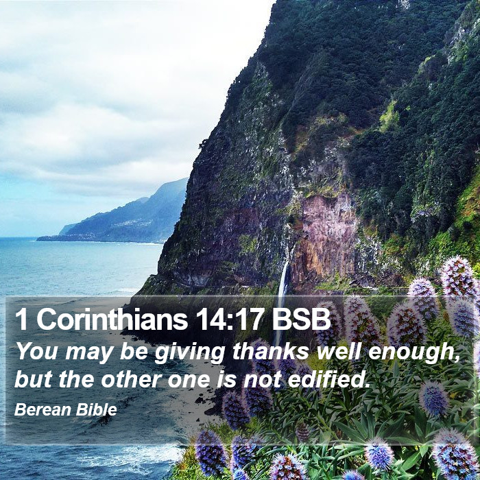 1 Corinthians 14:17 BSB Bible Study