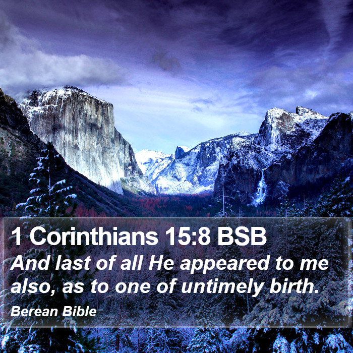 1 Corinthians 15:8 BSB Bible Study