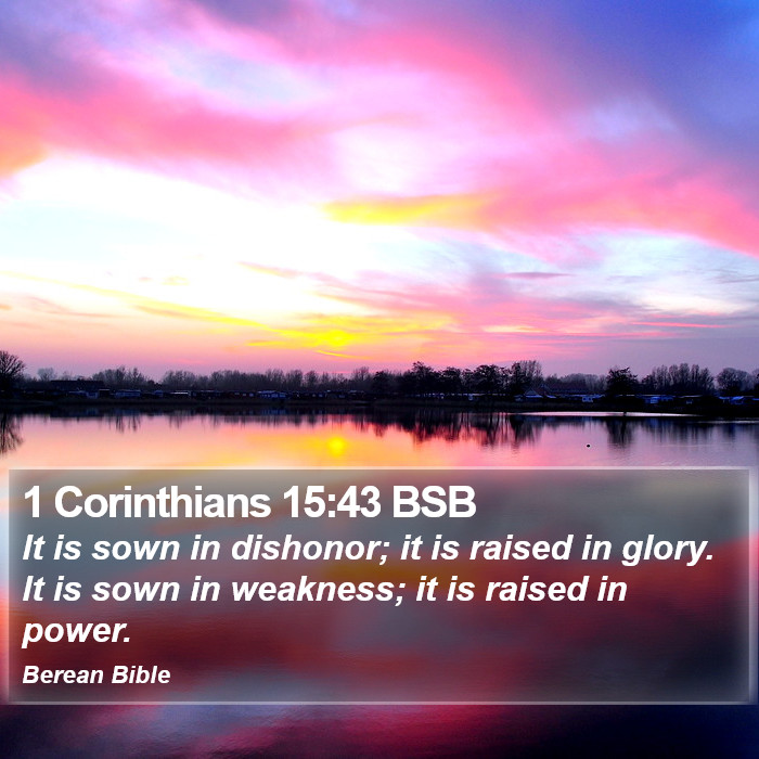 1 Corinthians 15:43 BSB Bible Study