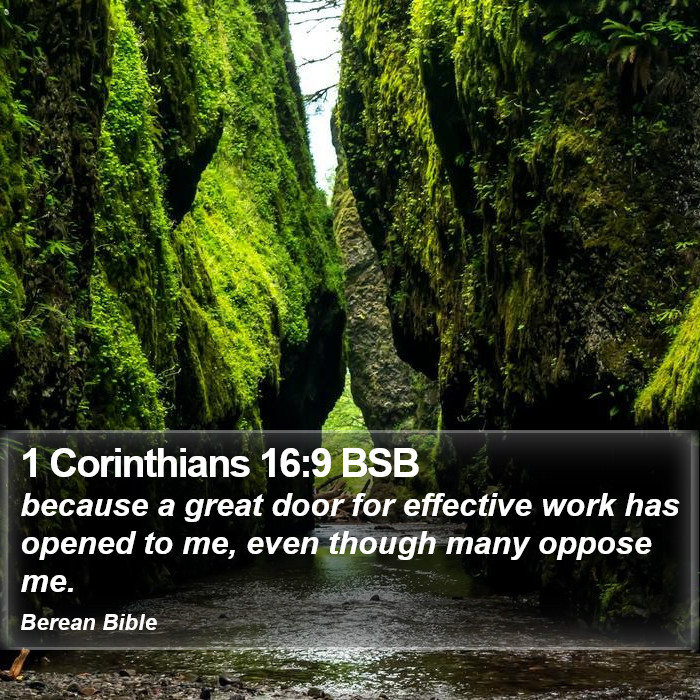 1 Corinthians 16:9 BSB Bible Study