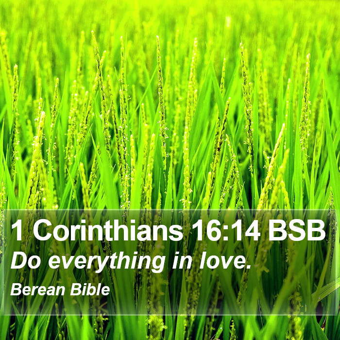 1 Corinthians 16:14 BSB Bible Study