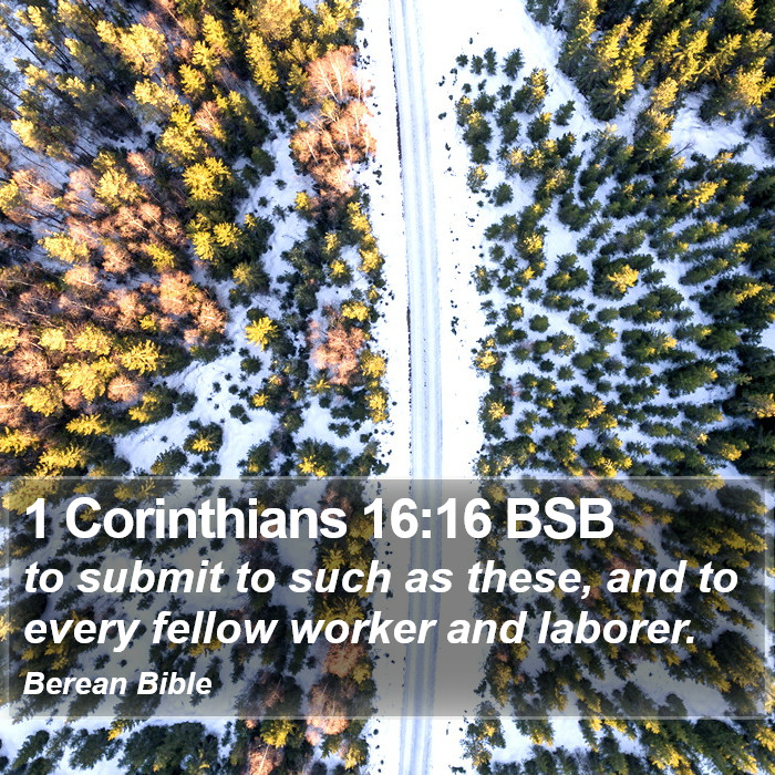 1 Corinthians 16:16 BSB Bible Study