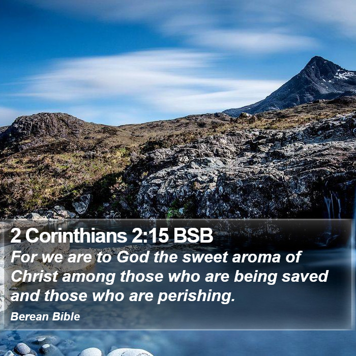 2 Corinthians 2:15 BSB Bible Study