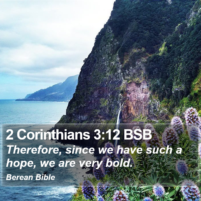 2 Corinthians 3:12 BSB Bible Study