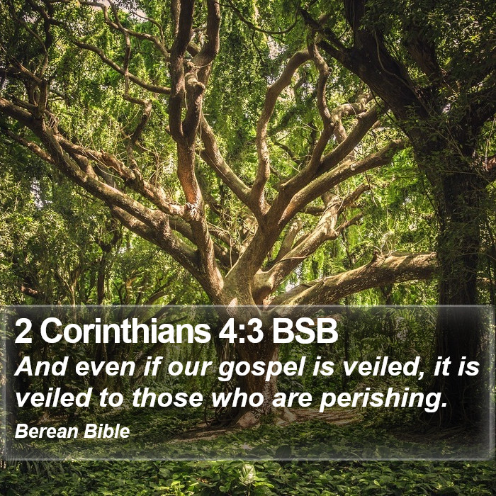 2 Corinthians 4:3 BSB Bible Study