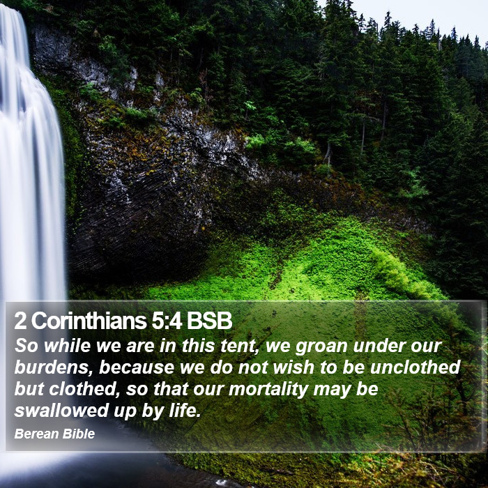 2 Corinthians 5:4 BSB Bible Study