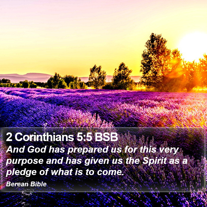 2 Corinthians 5:5 BSB Bible Study