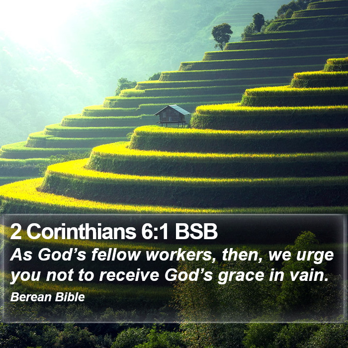 2 Corinthians 6:1 BSB Bible Study