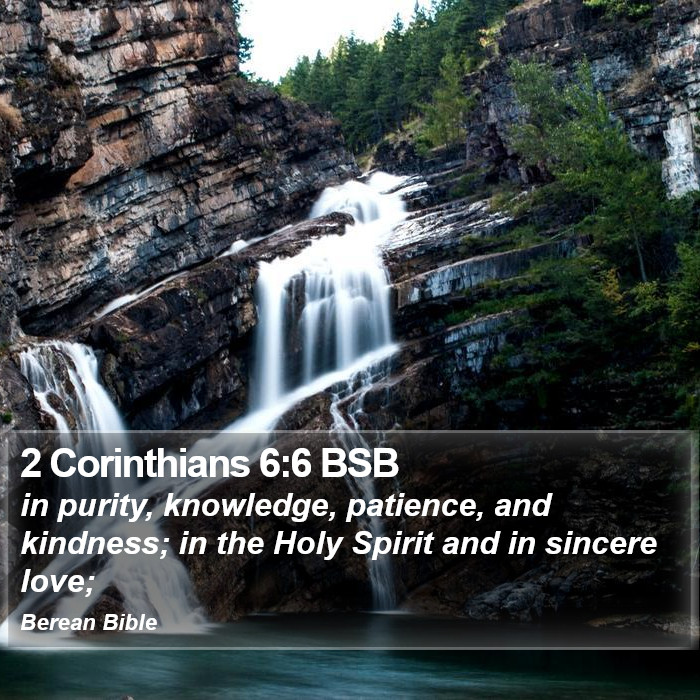 2 Corinthians 6:6 BSB Bible Study