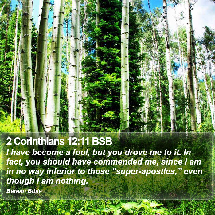 2 Corinthians 12:11 BSB Bible Study