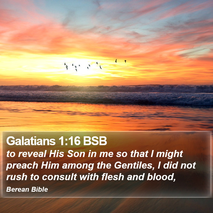 Galatians 1:16 BSB Bible Study