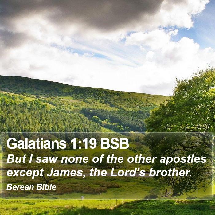 Galatians 1:19 BSB Bible Study