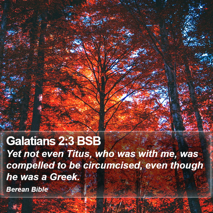 Galatians 2:3 BSB Bible Study