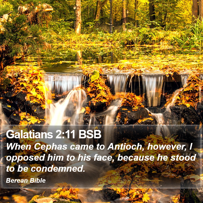 Galatians 2:11 BSB Bible Study