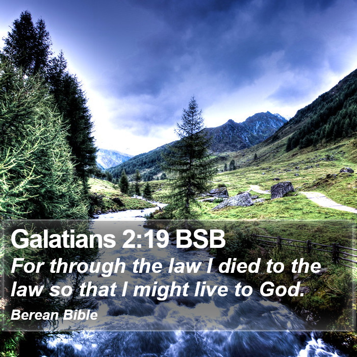 Galatians 2:19 BSB Bible Study