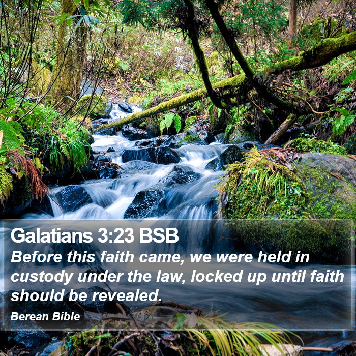 Galatians 3:23 BSB Bible Study