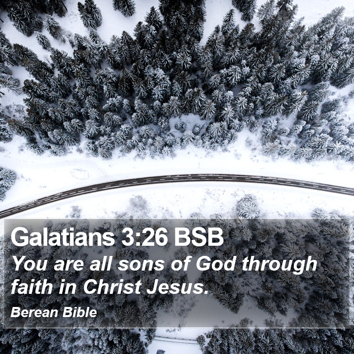 Galatians 3:26 BSB Bible Study