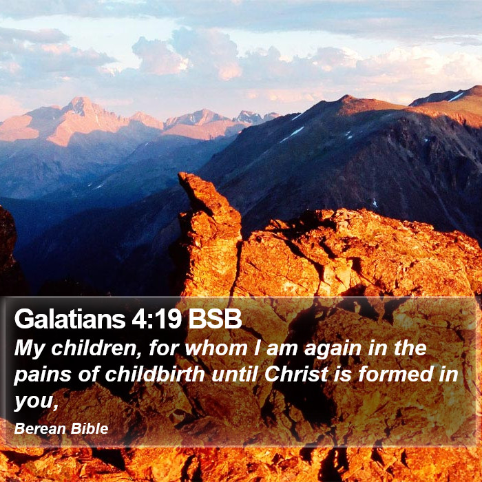 Galatians 4:19 BSB Bible Study