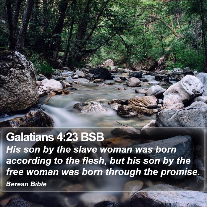 Galatians 4:23 BSB Bible Study