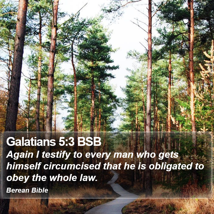 Galatians 5:3 BSB Bible Study