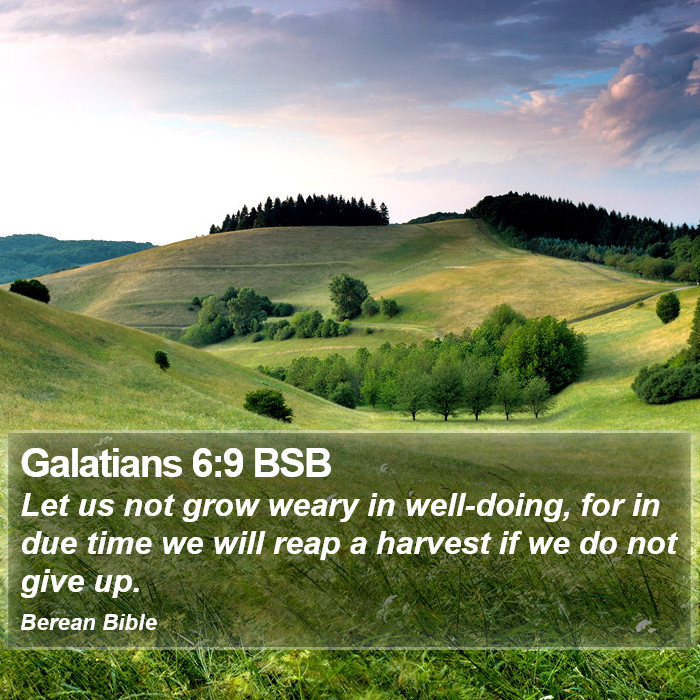 Galatians 6:9 BSB Bible Study