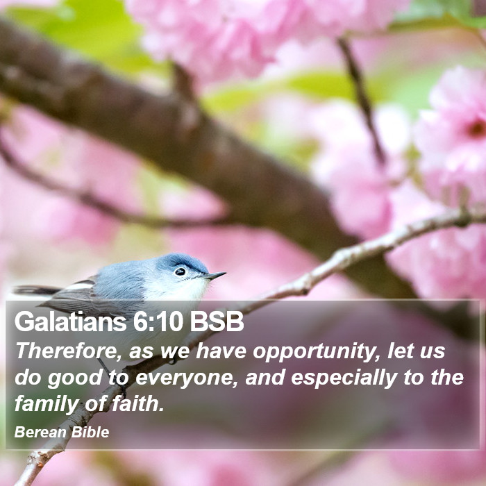 Galatians 6:10 BSB Bible Study