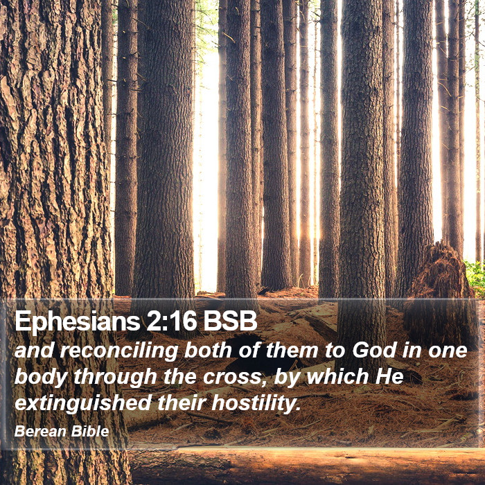 Ephesians 2:16 BSB Bible Study