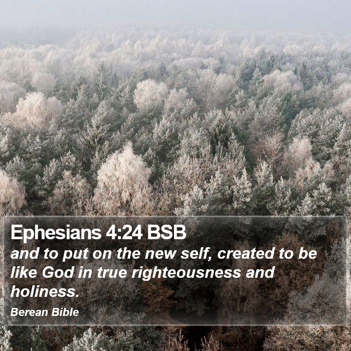 Ephesians 4:24 BSB Bible Study