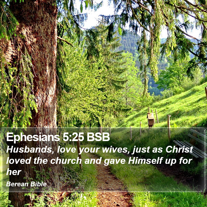 Ephesians 5:25 BSB Bible Study