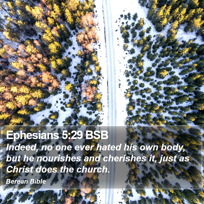 Ephesians 5:29 BSB Bible Study