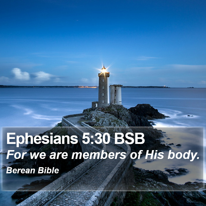 Ephesians 5:30 BSB Bible Study