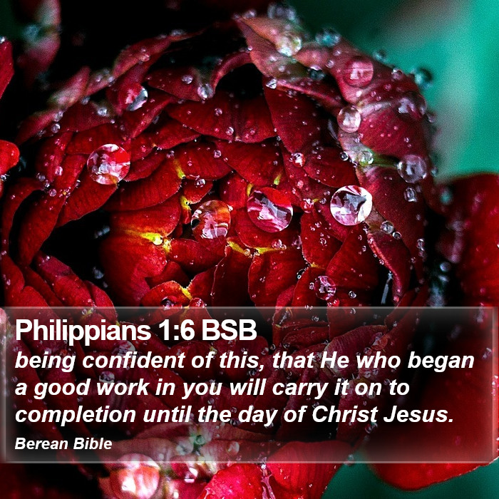 Philippians 1:6 BSB Bible Study