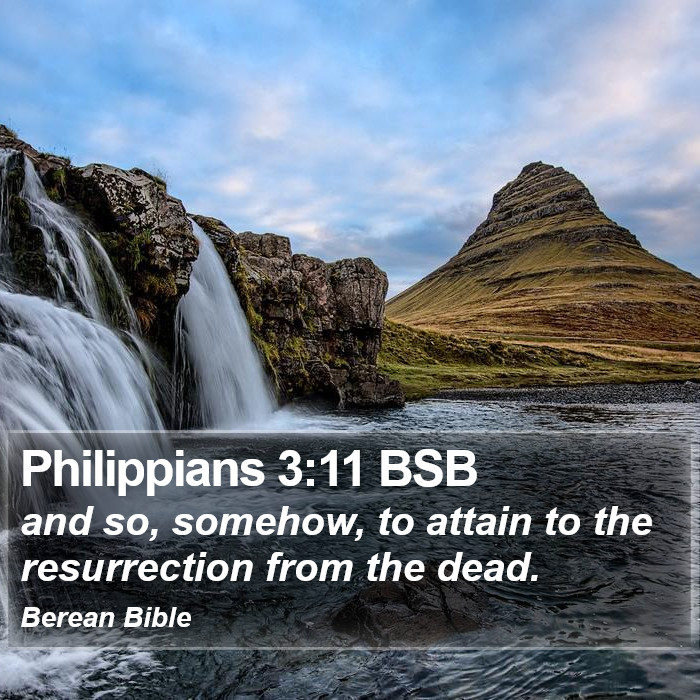 Philippians 3:11 BSB Bible Study