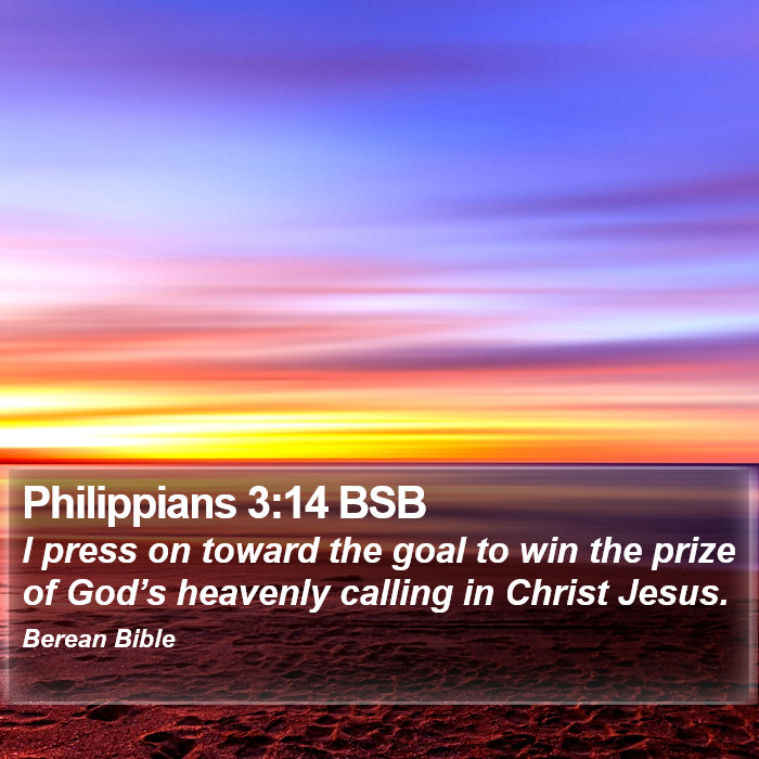 Philippians 3:14 BSB Bible Study