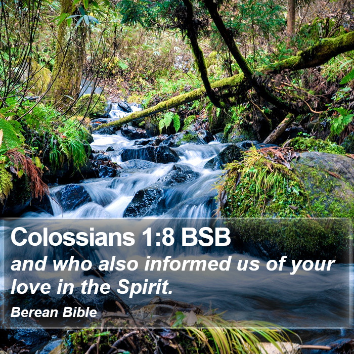 Colossians 1:8 BSB Bible Study