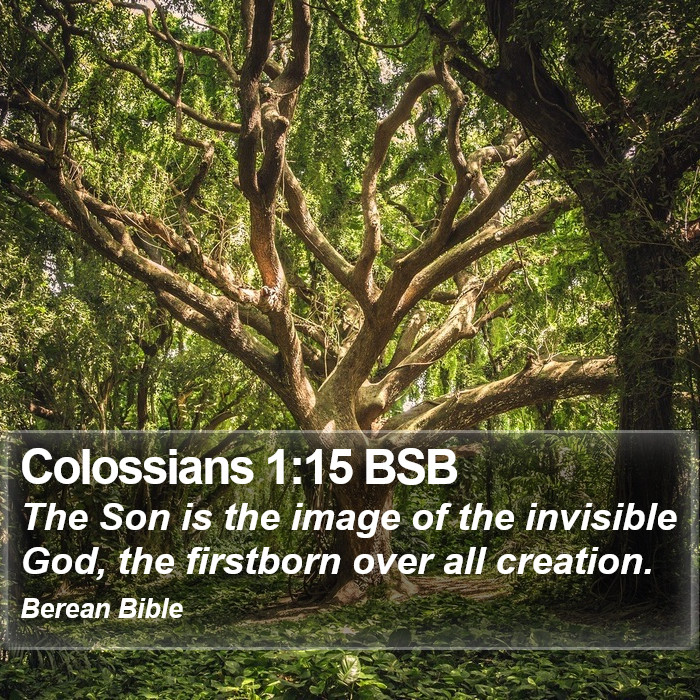 Colossians 1:15 BSB Bible Study