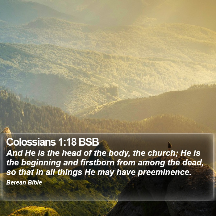 Colossians 1:18 BSB Bible Study